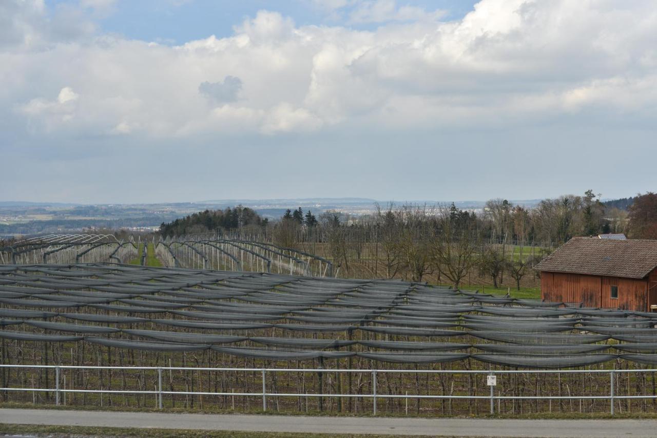 Gut Huegle Jugendzimmer Ravensburg Bagian luar foto